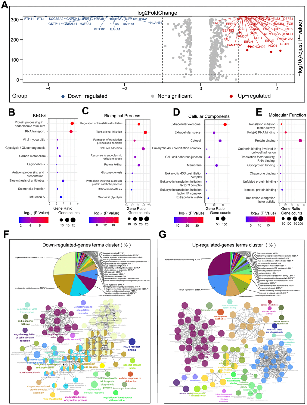 Functional enrichment analyses of DEGs between primary LUAD and brain metastases without prior treatment. (A) The volcano plot shows the upregulated and downregulated DEGs between primary LUAD tissues and brain metastases tissues without chemotherapeutic treatment. (B–E) The bubble plots show significantly enriched KEGG pathways, biological processes (BP), cellular components (CC), and molecular functions (MF) based on the analysis of the DEGs between primary LUAD tissues and brain metastases tissues without chemotherapeutic treatment. (F) The pie chart and pathway network show the results of functional enrichment analysis of the downregulated genes in primary LUAD tissues and brain metastases tissues without chemotherapeutic treatment. (G) The pie chart and the pathway network show the results of the functional enrichment analysis of upregulated genes in primary LUAD tissues and brain metastases tissues without chemotherapeutic treatment.