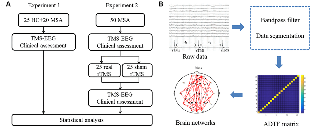 (A) Schematic representation of experimental design. (B) Analysis procedure for TMS-EEG data. MSA: multiple system atrophy; HC: healthy control; TMS-EEG: transcranial magnetic stimulation–electroencephalogram; rTMS: repetitive transcranial magnetic stimulation; sTMS: single-pulse transcranial magnetic stimulation; ADTF: adapted directed transfer function.