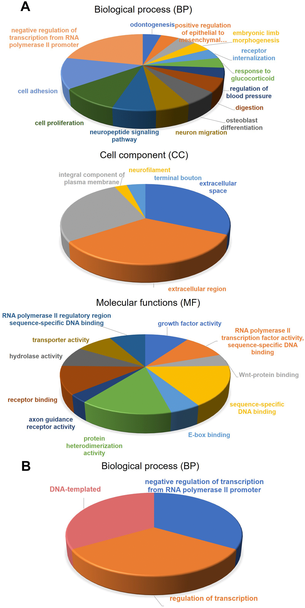 Gene-set enrichment analysis (GSEA) for methylation-driven genes. (A) molecular functions, biological process, and Cell component of 181 methylation-driven genes. (B) biological process of 5 genes in the risk model.