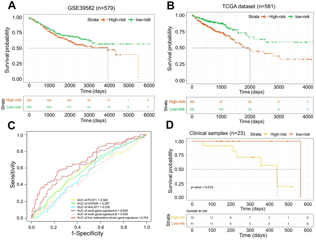 (A) Kaplan–Meier curves of the OS in dataset GSE39582 (p-value B) Kaplan–Meier curves of the OS in the dataset from TCGA (p-value = 0.0001); (C) ROC curves of five methylation-driven gene signature and other known biomarkers for prognosis in CRCs. (D) Kaplan–Meier curves of the OS in clinical samples (p-value = 0.019).