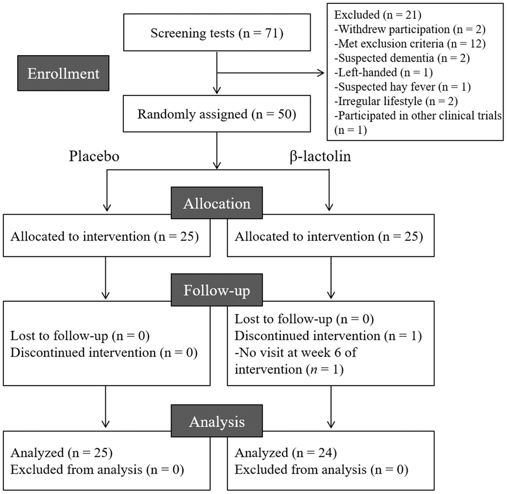 CONSORT diagram. We included 50 of the 71 screened participants in this study; they were randomly allocated to the placebo (n = 25) and β-lactolin (n = 25) groups. One participant dropped out and, therefore, the data of 25 and 24 participants in the placebo and β-lactolin groups were analyzed, respectively.