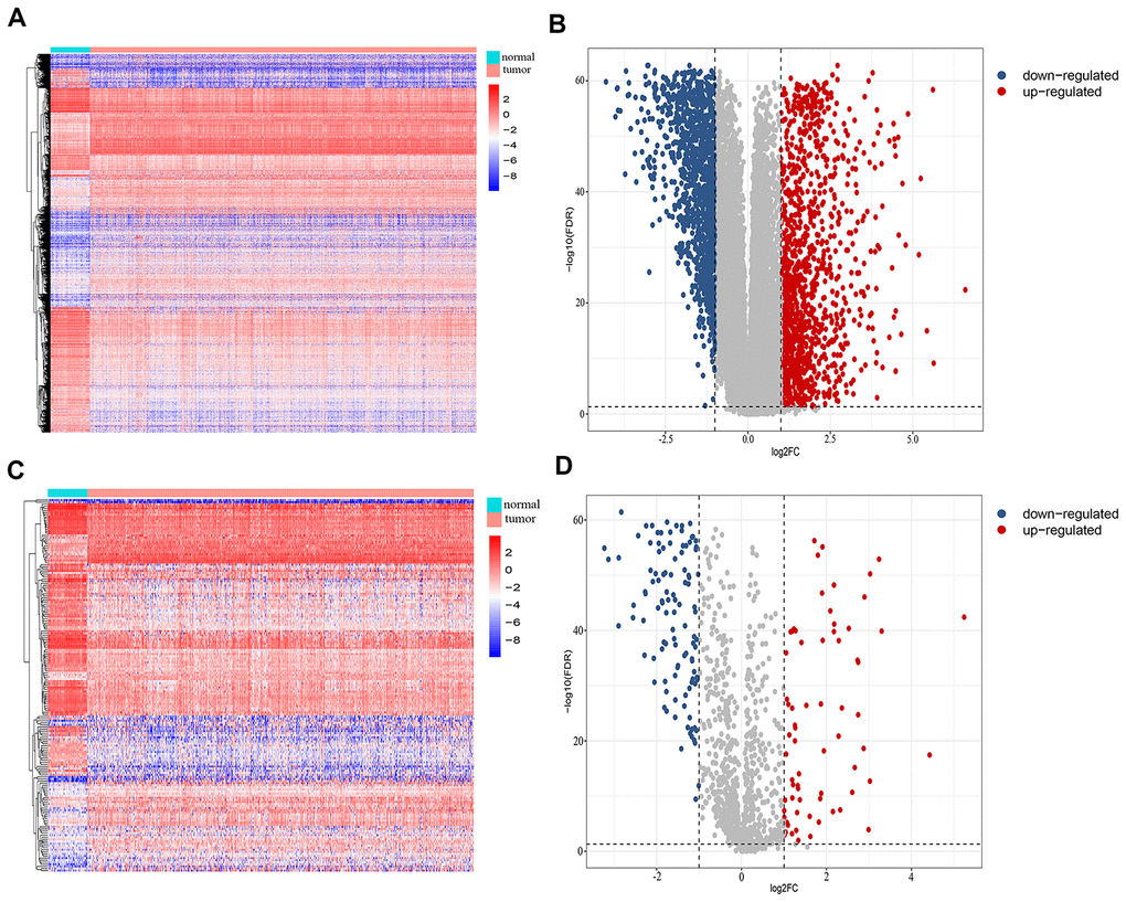 Identification of differentially-expressed immunity-related genes in breast cancer. (A) Heatmap and (B) volcano plot showing differentially-expressed genes between breast and non-malignant tissues. (C) Heatmap and (D) volcano plot of differentially-expressed immunity-related genes in breast cancer.