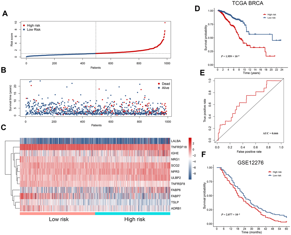 The prognostic immunity-based signature in breast cancer. (A) Distribution of risk score derived from the signature. Patients are ranked according to the corresponding risk score. (B) Survival status of breast cancer patients. They are ranked in the same way as in (A). (C) Heatmap showing expression of the 12 hub immunity-related genes in different risk groups. (D) Kaplan-Meier survival curves for patients in the TCGA BRCA dataset. Patients are assigned into high and low risk groups according to the median risk score. (E) The receiver operating characteristic (ROC) curve showing a prognostic value of the immunity-based signature. (F) Kaplan-Meier survival curves for patients in the validation dataset (GSE12276).