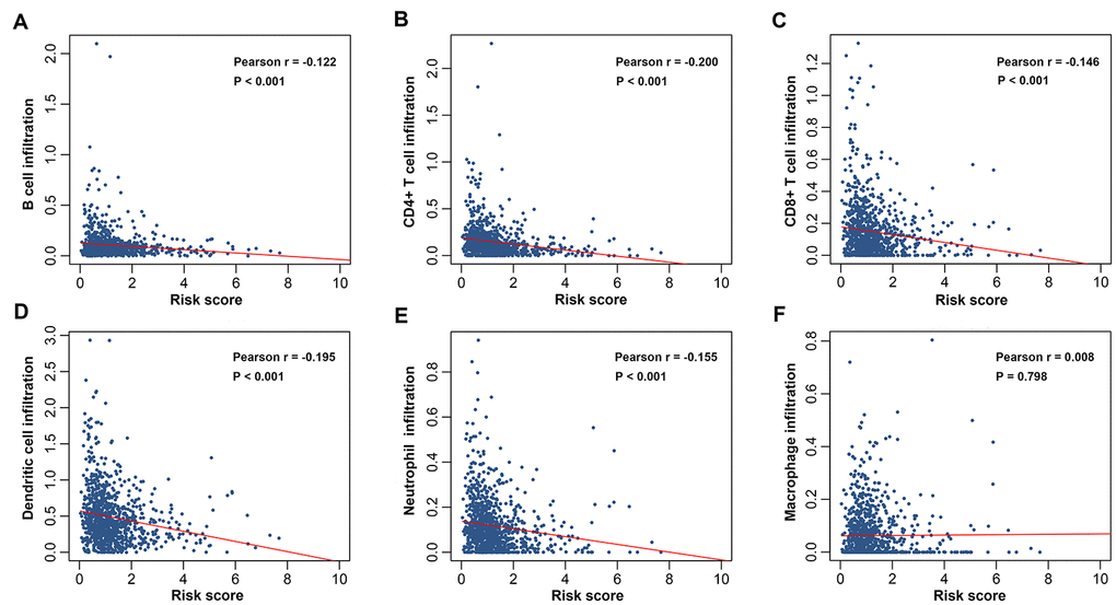 Correlations between the prognostic signature-derived risk score and infiltration abundances of multiple immune cells. (A) B, (B) CD4+ T, (C) CD8+ T, and (D) dendritic cells; (E) neutrophils; (F) macrophages.