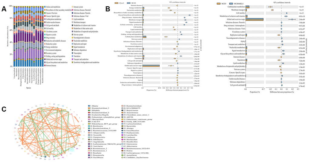 Human mesenchymal stem cells ameliorated the disorders of metabolomic profiles induced by MCD diet. (A) The expression levels of different species in various metabolic pathways. The x-coordinate represents species of the flora, and the y-coordinate represents the percentage of relative abundance of metabolic pathways. (B) Differences in the metabolic pathways between Chow4 and MCD3; MCD3 and MCD+hMSCs1 were showed in the picture. (C) The interaction among different bacterial communities was represented by Spearman’s rank correlation. Significant associations with P  0.5 were shown. The circle represented species, and the circle size represented the average abundance of species. The line represented the correlation between the two species. The thickness of the line represented the strength of the correlation. The orange color of the line represented positive correlation, whereas green represented the negative correlation.