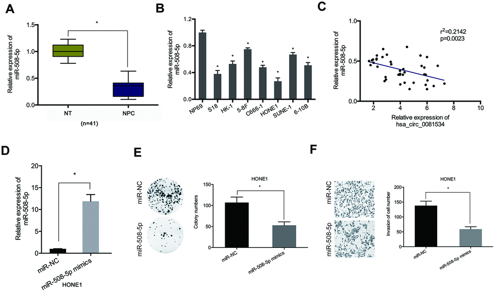 miR-508-5p mimics decreased NCP cells proliferation and invasion. (A, B) miR-508-5p expression in NPC tissues and cell lines. (C) MiR-508-5p expression was negatively correlated with hsa