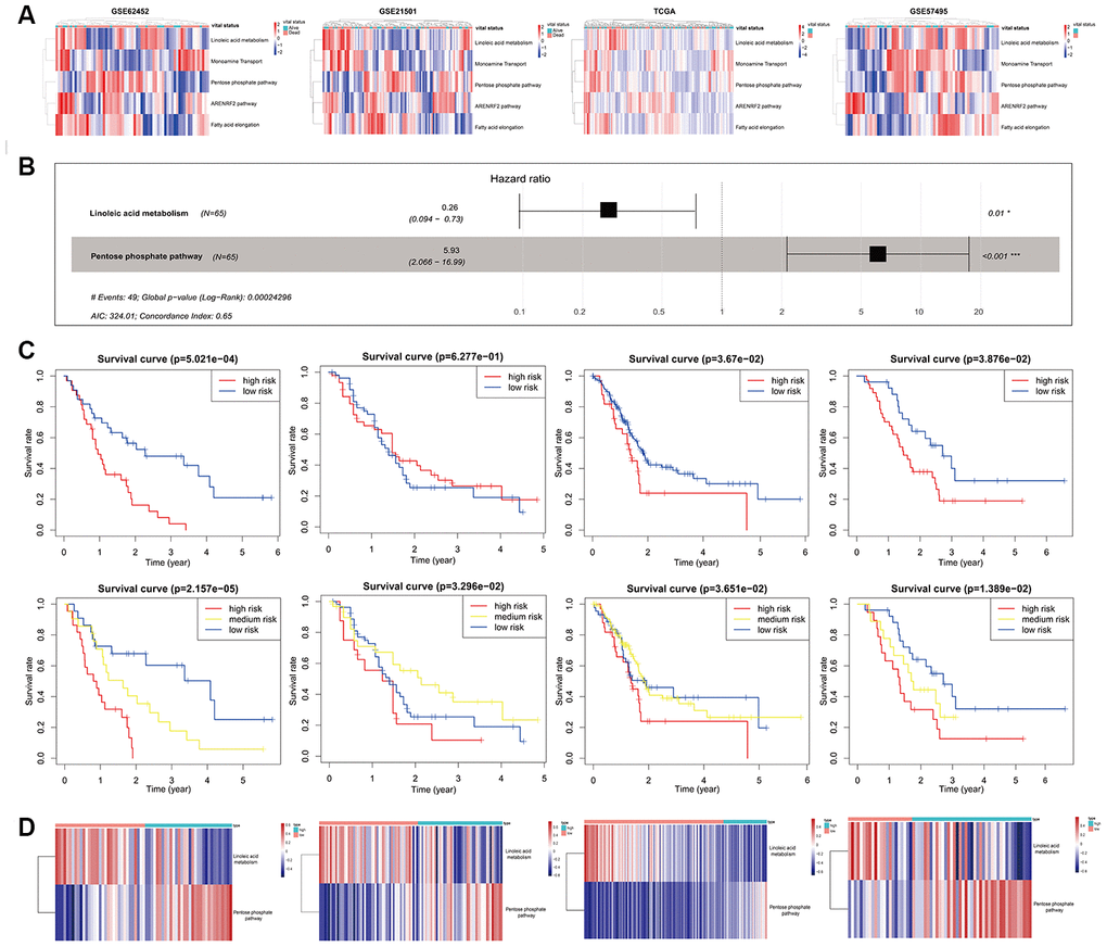 Development and validation of the mPPSPC. (A) Heatmap of the pathway enrichment score distribution of five mRNA-set-based pathways corresponding to miRNA-set-based pathways in the GSE62452, GSE21501, TCGA-PAAD mRNA-seq and GSE57495 datasets. Pathway enrichment scores were calculated by the GSVA method. PC patients were divided into two groups according to their vital status. The color change represented the level of pathway enrichment scores of every PC patient for every mRNA set-based pathway: blue represented a low score, and red represented a high score. (B) Forest plot of two pathways originating from the Cox proportional hazards model mPPSPC. Through constructing Cox proportional hazards model, two pathways were finally filtered. Unadjusted hazard ratios are shown with 95 percent confidence intervals. AIC, Akaike Information Criterion. (C) Kaplan–Meier curves for overall survival by risk score of patients in the training set (left two: GSE62452 dataset) and validation set (right six: GSE21501, TCGA-PAAD mRNA-seq and GSE57495 datasets) based on the mPPSPC. Blue line represented low risk group, yellow line represented high risk group, and red line represented high risk group. Log rank test was used to generate p value. (D) Heatmap of the pathway enrichment score distribution of two pathways in the mPPSPC for the training set (left one: GSE62452 dataset) and validation set (right three: GSE21501, TCGA-PAAD mRNA-seq and GSE57495 datasets) grouped by low and high risk scores. The color change represented the level of pathway enrichment scores of every PC patient for each mRNA set-based pathway: blue represented a low score, and red represented a high score.