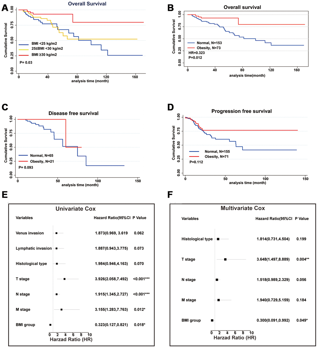 Obesity is an independent prognostic factor for improved overall survival. (A) The association of BMI and Overall Survival (OS) performed by Kaplan-Meier analysis. Patients were divided into 3 groups according to WHO standard (normal weight: BMI2). (B) All patients redistributed into 2 groups (combined normal weight and overweight patients as normal group: BMIvs obesity group: BMI≥30 kg/m2) and performed by Kaplan-Meier analysis. (C) Disease-Free Survival of normal group and obesity group performed by Kaplan-Meier analysis. (D) Progression-Free Survival of normal group and obesity group performed by Kaplan-Meier analysis. (E) Risk factors of OS analyzed by univariate Cox regression model. (F) Risk factors of OS analyzed by multivariate Cox regression model. (*p**p***p