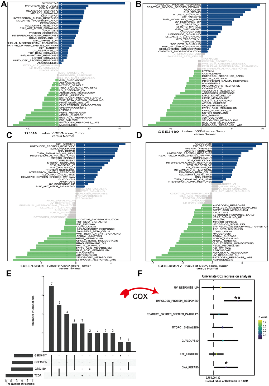 Differences in cancer hallmark pathway activities between melanoma and normal sample scored by GSVA method. (A) Cancer hallmark pathways in TCGA dataset. (B) Cancer hallmark pathways in GSE3189 dataset. (C) Cancer hallmark pathways in GSE15605 dataset. (D) Cancer hallmark pathways in GSE46516 dataset. The blue bars stand for the up-regulated pathways and the green bars mean down-regulated pathways. The x-axis is the t value of GSVA score. (E) Upset plot of different cancer hallmarks in multiple datasets. The dark bar on the left of drawing represents the amount of each dataset. The dark dots in the matrix at right of drawing represent the intersections of cancer hallmarks. (F) Forest plots of 7 cancer hallmarks, among which only unfolded protein response and DNA repair significantly correlated with OS (Overall survival) in TCGA dataset. *p