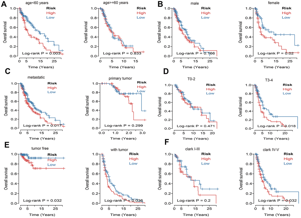 Kaplan–Meier curve illustrates the prognostic value of risk score signature based on subgroup of different clinical variables. (A) Tthe subgroup age. (B) The subgroup sex. (C) The subgroup of metastasis. (D) The subgroup tumor size. (E) The subgroup of tumor status. (F) The subgroup Clark level.