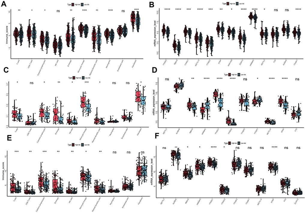 Immune microenvironment and m6A regulation between the high- and low-risk phenotype. (A) Difference immune score of 10 immune cells between the high- and low-risk melanoma patients in TCGA dataset. (B) Expression of N6-methyladenosine (m6A) RNA methylation regulators between the high- and low-risk melanoma patients in TCGA dataset. (C) Immune score distribution of 10 immune cells between the high- and low-risk group in GSE54467 dataset. (D) Different expression level of m6A regulators between the high- and low-risk group in GSE54467 dataset. (E) Immune score distribution of 10 immune cells between the high- and low-risk group in GSE65904 dataset. (F) Different expression level of m6A regulators between the high- and low-risk group in GSE65904 dataset. *p