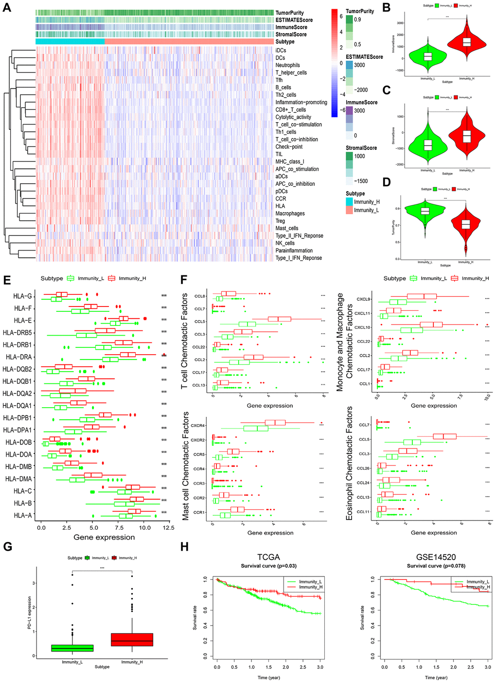 Characterization of 2 HCC subtypes based on immunogenomic profiling. (A) Heatmap of normalized ssGSEA scores for tumor purity, ESTIMATE score, Immune Score, and Stromal Score. Tumor samples were grouped into 2 immune classes, Immunity