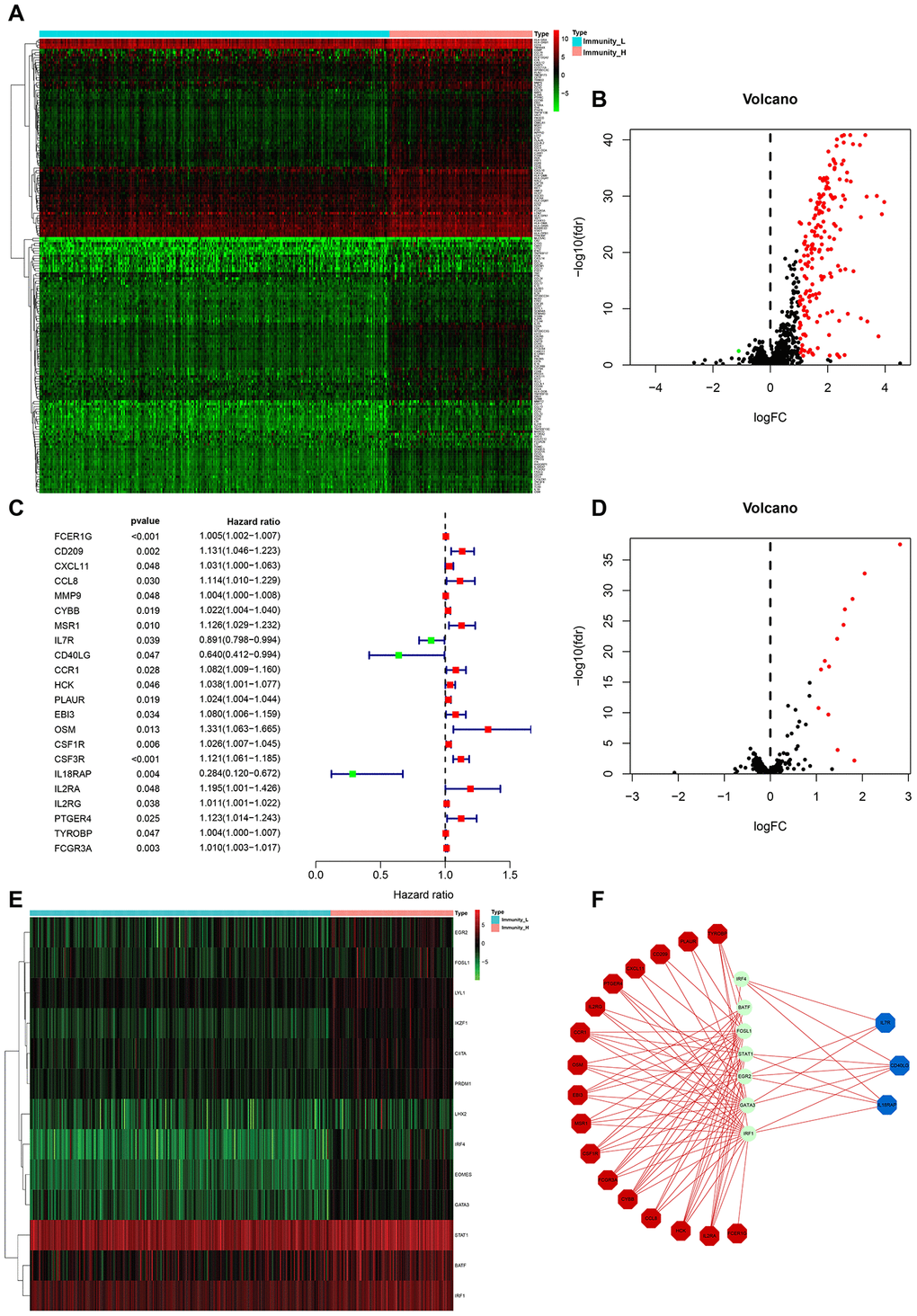 HCC subtype-specific differentially expressed IRGs. (A, B) Heatmap and volcano plot of the differentially expressed IRGs between Immunity