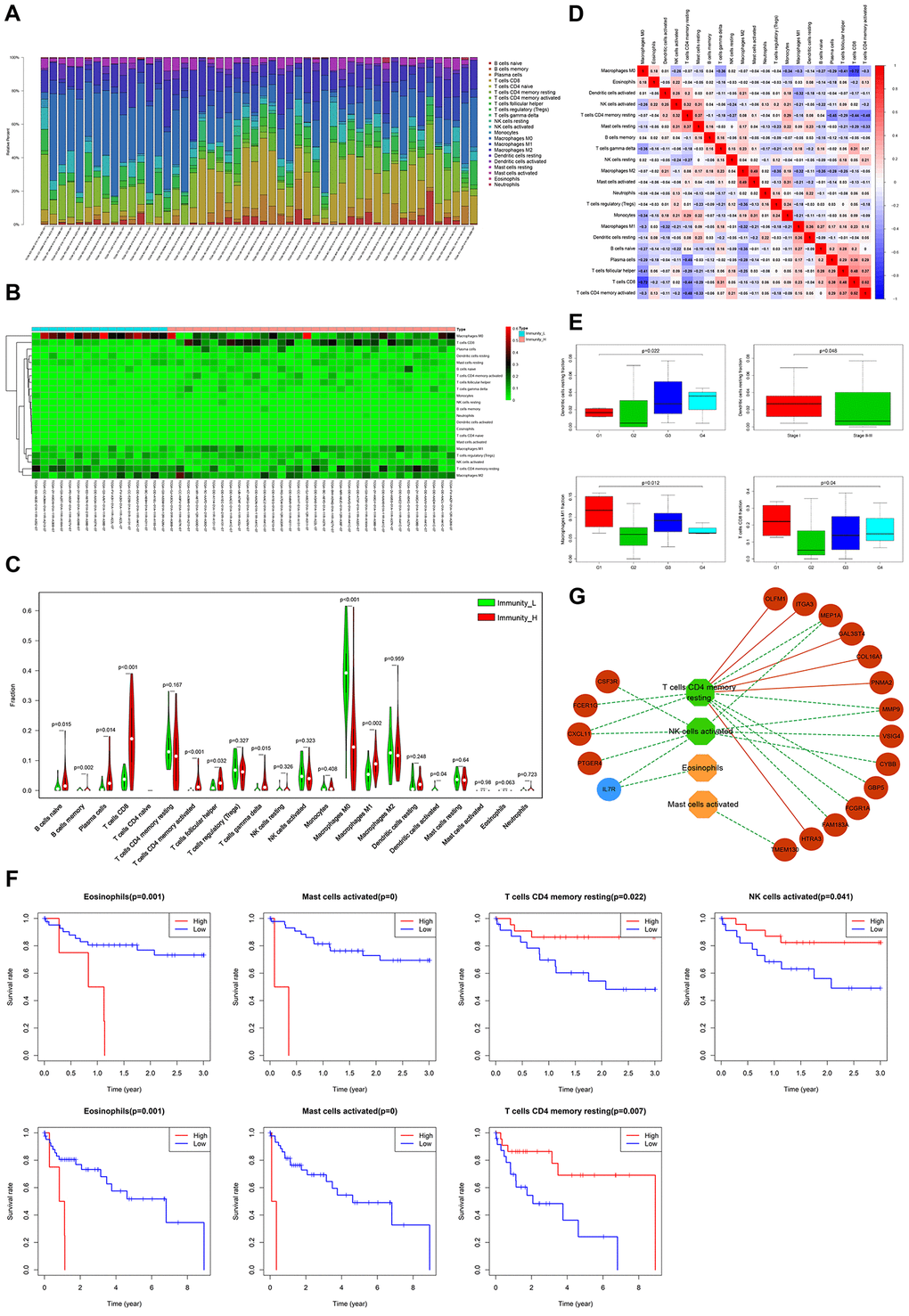 Evaluation of clinical outcomes based on differential TIICs. (A) Relative proportions of 22 immune cell subpopulations in HCC patients. (B) Heatmap visualization of differential immune cell proportions between Immunity