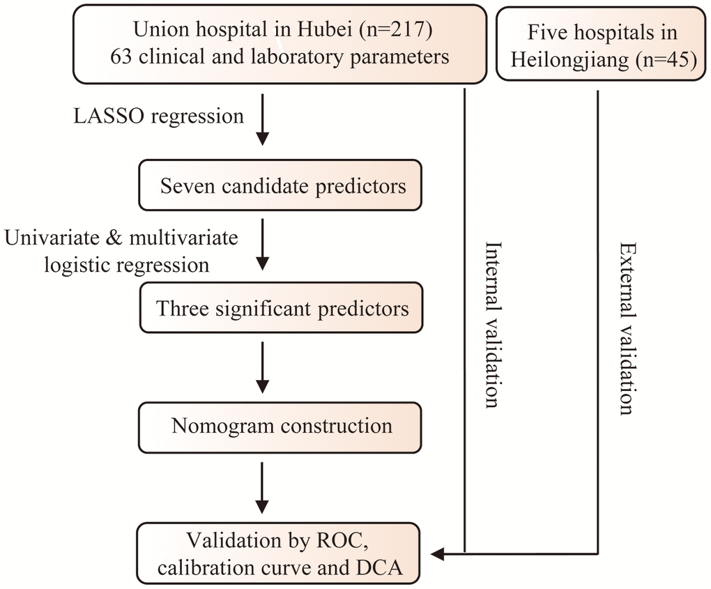 Flowchart of the study.