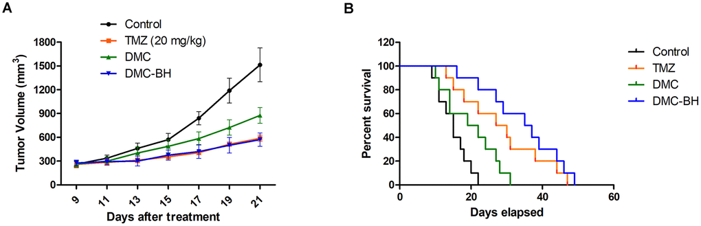 DMC-BH inhibited U87 glioma cell growth in vivo. Subcutaneous tumors generated from U87 cells were allowed to reach a volume of 150-200 mm3 and were treated with 20 mg/kg TMZ, DMC or DMC-BH for 21 days. (A) Tumor volume was recorded according to treatment group at the indicated day. (B) The survival of brain tumor-bearing mice was recorded and represented in a Kaplan-Meier plot.