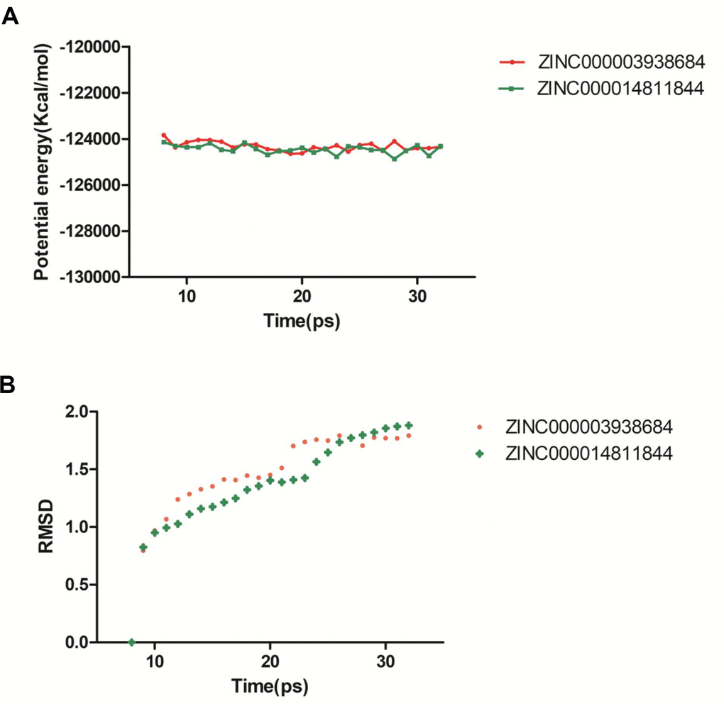 Results of molecular dynamics simulation of compounds ZINC000003938684 and ZINC000014811844. (A) Potential energy. (B) Average backbone root-mean-square deviation. RMSD: root-mean-square deviation.