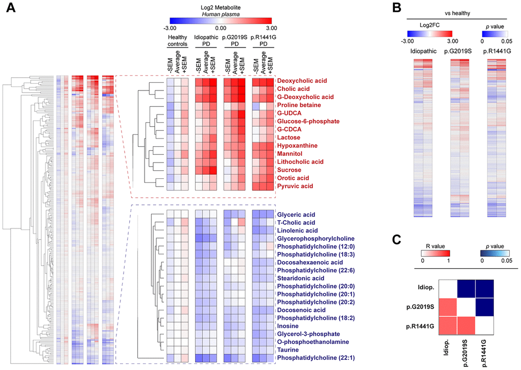 Heatmap clustered by Euclidean distance of changes in plasma metabolite concentrations depicted as Log2 in the control group (healthy), idiopathic and familial (carrying the p.G2019S or p.R1441G mutations in LRRK2 gene) Parkinson’s disease (PD) patients (A) or Log2-fold change between each PD group respect to control group (B). Correlation matrix of all plasma metabolites changed in PD patients is shown by color codes (p values and Pearson’s coefficients of correlation ®) (C).