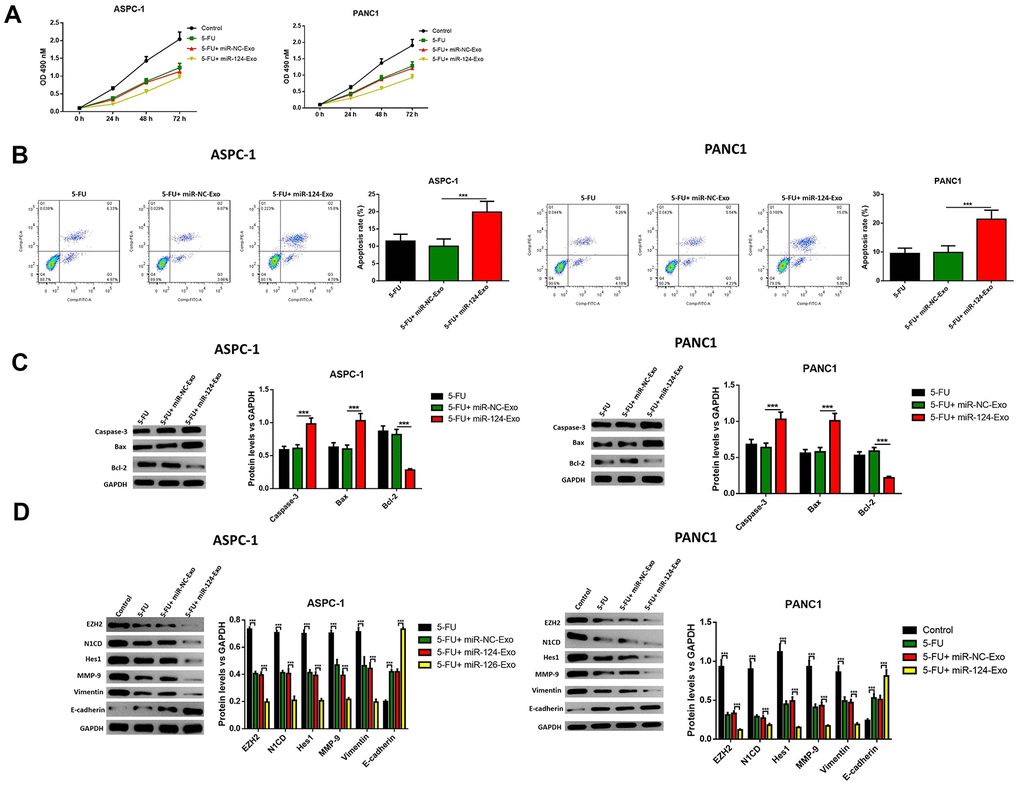 Exosomes-delivered miR-124 enhanced the chemotherapy on pancreatic cancers. The effects of BM-MSC-derived exosomes on AsPC-1 or PANC1 cell viability (A) were measured by MTT and apoptosis were determined using AnnexinV-propidium iodide (PI) by flow cytometry (B), while the apoptosis related protein (C) levels of caspase-3, Bax, Bcl-2 and EZH2 and EMT related proteins (D) N1CD, Hes1, MMP-9, vimentin and E-cadherin were determined by western blot. These results present the mean ± standard deviation (SD) of three independent experiments. ***P