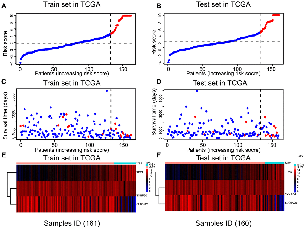 The relation between risk score, survival state, and risk factors in the training and test sets. There were three parts in training and test sets. The horizontal axis represents the same order of samples. (A, B) Parts A and B showing the risk score of each patient. (C, D) Parts C and D showing the survival state and risk score of each patient. (E, F) Parts E and F showing the expression levels of TPX2, TXNRD2 and SLC6A20.