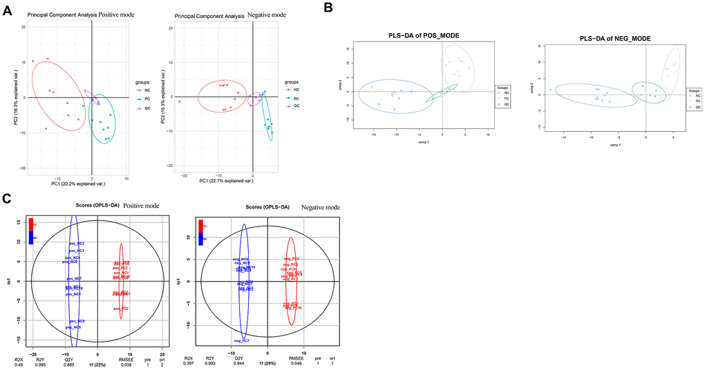 Data normalization and partial least squares discriminant analysis for metabolomics data. Two-dimensional principal component analysis (A) and three-dimensional partial least squares discriminant analysis (B) were conducted to ensure the detection stability of metabolomics data analysis. (C) Orthogonal partial least squares discriminant analysis by the X-Score model.
