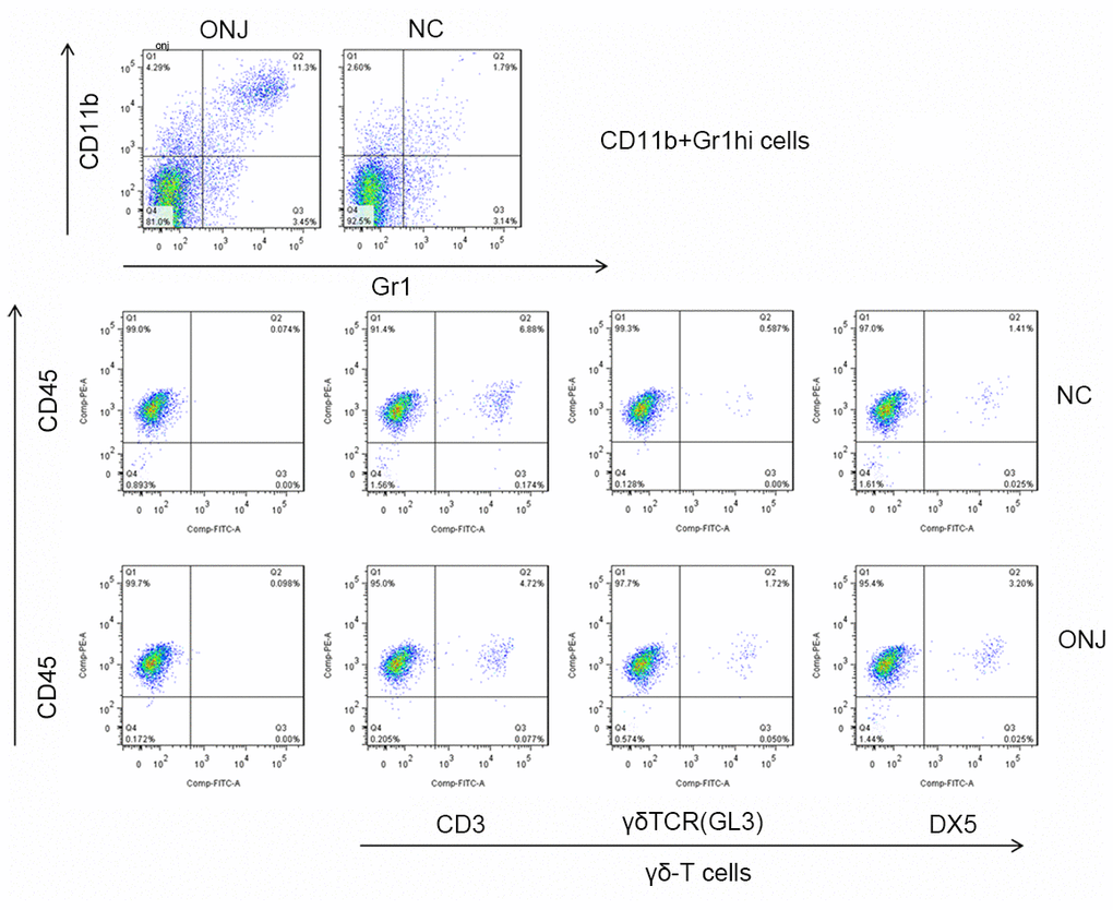 The proportion of CD11b+Gr1hi cells and γδ-T cells in rat serum.