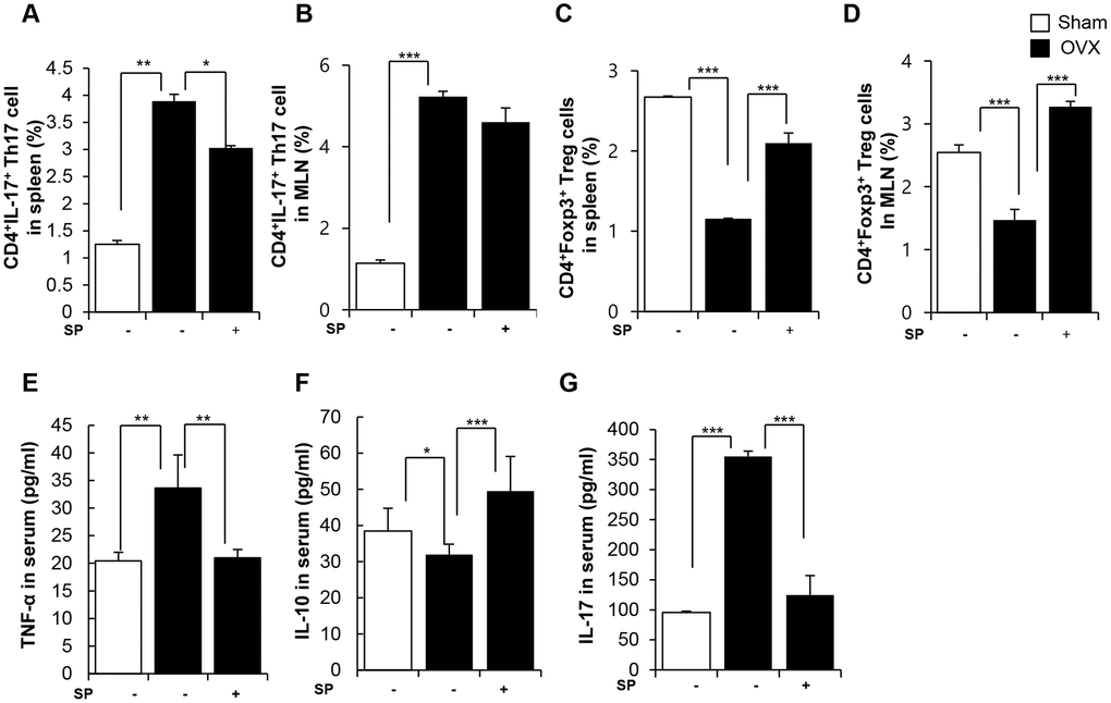 SP facilitates the development of Treg under osteoporosis condition. The ratios of CD4+IL17+ cells in splenocytes (A) and in MLN cells (B) were analyzed by FACS analysis. The ratios of CD4+Foxp3+ cells in splenocytes (C) and in MLN cells (D) were quantified by FACS analysis. (E–G) The concentrations of TNF-α, IL-10 and IL-17 in serum were analyzed by ELISA. p values of less than 0.05 were considered statistically significant (* p 