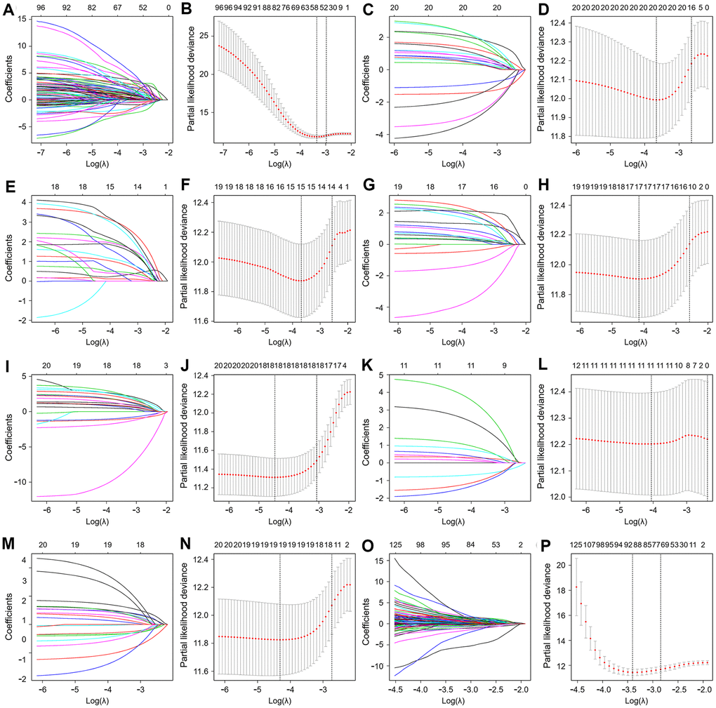 Least absolute shrinkage and selection operator (LASSO) coefficient profiles of the AS events. The coefficient profiles of AA (A), AD (C), AP (E), AT (G), ES (I), ME (K) and RI (M) events. The partial likelihood deviance of AA (B), AD (D), AP (F), AT (H), ES (J), ME (L) and RI (N) events. (O) The coefficient profiles of all seven types of AS events. (P) The partial likelihood deviance of all seven types of AS events.