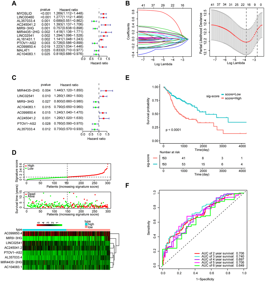 Establishment and validation of the eight-lncRNA prognostic signature. (A–C) The procedure of establishing the prognostic signature. (D) Correlation between the prognostic signature and the overall survival of patients in the TCGA cohort. The distribution of signature scores (top), survival time (middle) and lncRNA expression levels (bottom). The black dotted lines represent the median signature score cut-off dividing patients into the low- and high-signature groups. The red dots and lines represent the patients in the high-score group. The green dots and lines represent the patients in the low-score group. (E) Kaplan-Meier curves of OS based on the 8-lncRNA signature. (F) ROC curve analyses based on the 8-lncRNA signature.