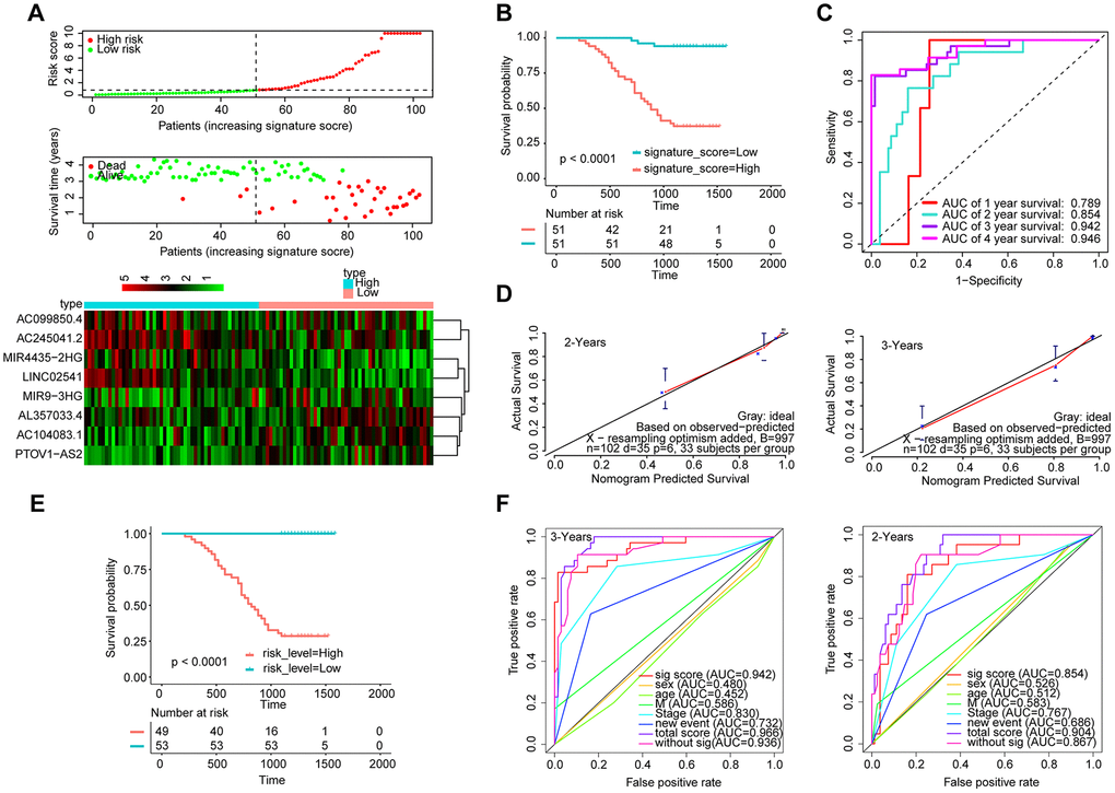 Validation of the model by the qRT-PCR set (n=102). (A) Distribution of 8-lncRNA-based signature scores, lncRNA expression levels and patient survival durations in the qRT-PCR validation set. (B) Kaplan-Meier curves of OS based on the 8-lncRNA signature. (C) ROC curve analyses based on the 8-lncRNA signature. (D) Calibration curves of the nomogram for the estimation of survival rates at 2 and 3 years. (E) Kaplan-Meier curves of OS according to the total risk score. (F) ROC curves according to the nomogram and lncRNA signature score.