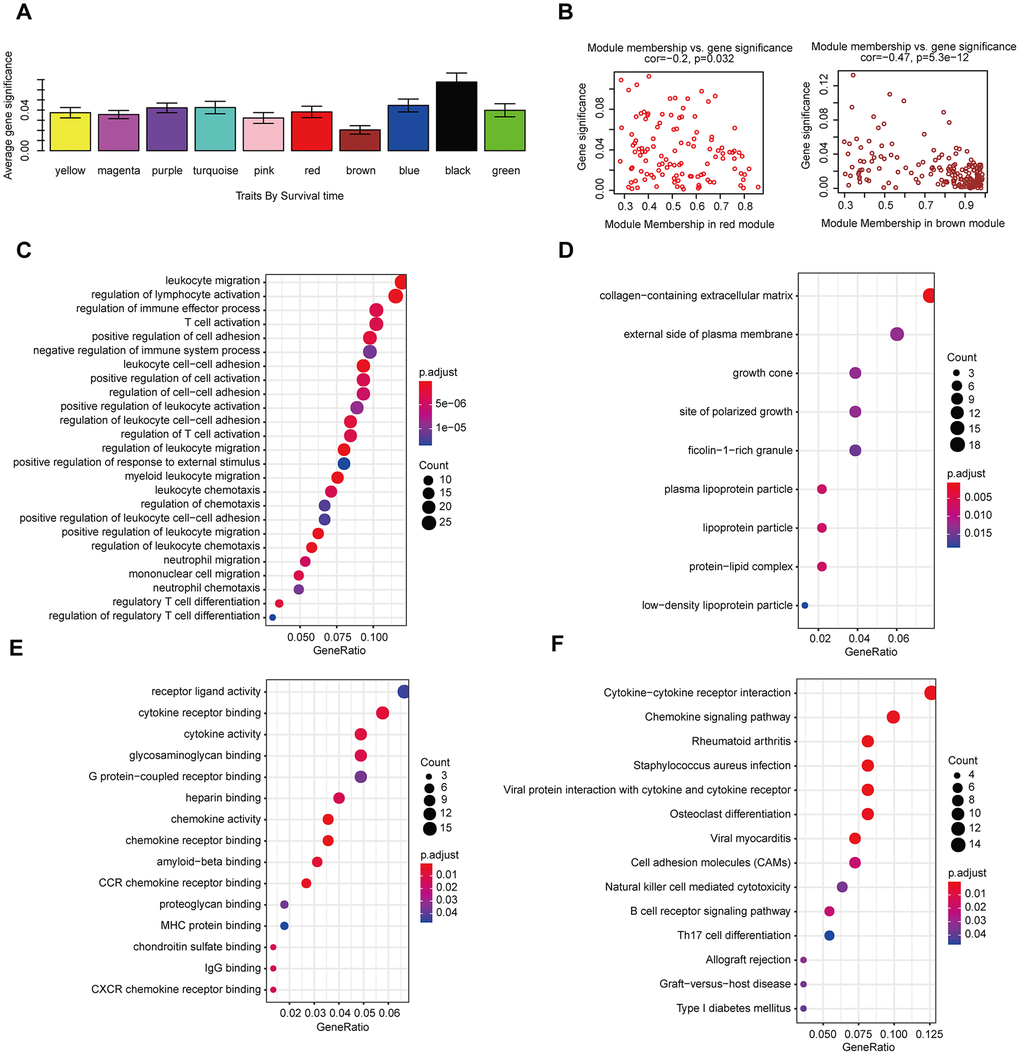 The correlation between the genes in the modules and survival time. (A) Distribution of mean gene significance and standard deviation with survival time in the HNSCC modules. (B) Scatter plot of module eigengenes in red and brown modules. GO (C–E) and KEGG (F) pathway enrichment of eight modules. GO enrichment contains three categories: biological process (C), cellular component (D) and molecular function (E).