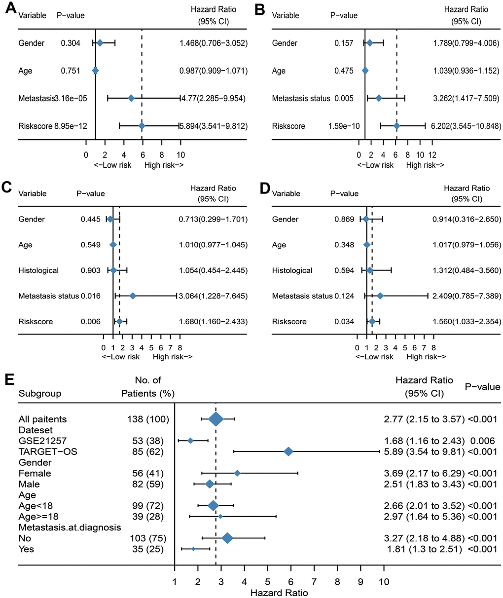 Evaluate whether IRGP signature is an independent prognostic factor. (A) Forest plot of univariate Cox regression results of IRPG signature and clinical characteristics of TCGA cohort. (B) Forest plot of univariate Cox regression results of IRPG signature and clinical characteristics of GSE21257 cohort. (C) Forest plot of multivariate Cox regression results of IRPG signature and clinical characteristics of TCGA cohort. (D) Forest plot of multivariate Cox regression results of IRPG signature and clinical characteristics of GSE21257 cohort. (E) Forest plots of the associations between IRGP and overall survival in various subgroups.