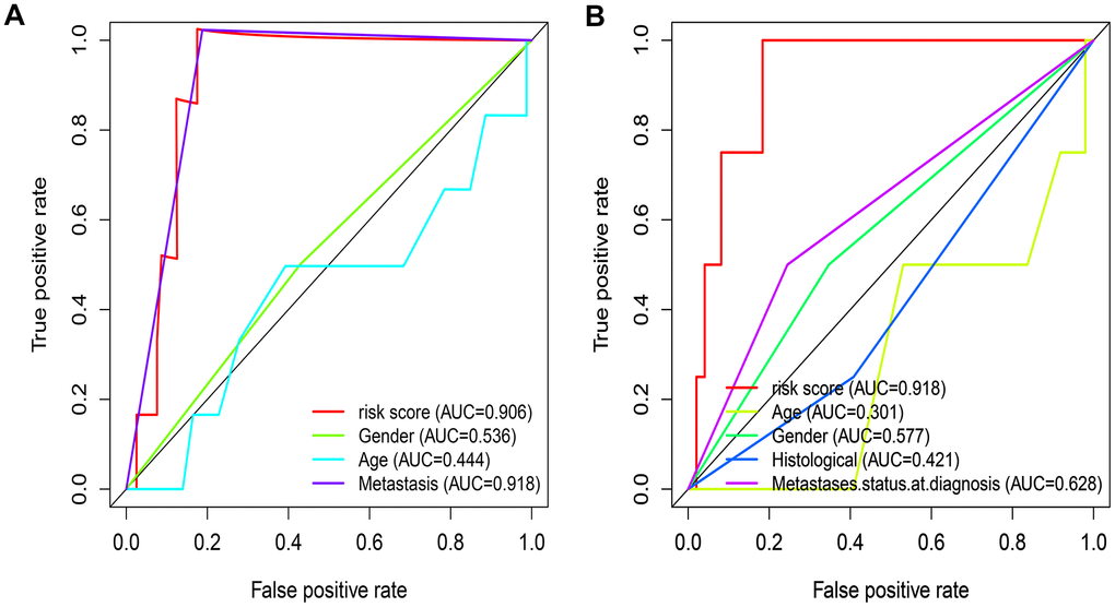 Evaluate the predictive ability of IRGP signature. (A) ROC curve of clinical characteristics and IRGP signature in TCGA cohort. (B) ROC curve of clinical characteristics and IRGP signature in GSE21257 cohort.