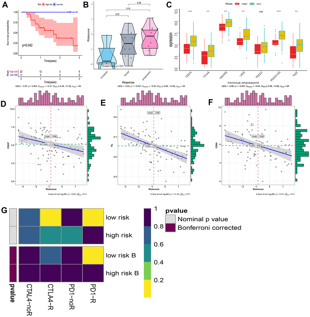 Explore patients who may hope to benefit from immunotherapy. (A) Kaplan–Meier curves of overall survival according to IRGP groups in GSE78220. (B) Box violin plot of the relationship between the immunotherapy response and the IRGP signature value in the GSE78220 cohort. (C) Box plot showing the expression of 7 immune checkpoint genes in two groups of patients. (D) Correlation between IRGP value and CD247 gene expression. (E) Correlation between IRGP value and TIL. (F) Correlation between IRGP value and CD8A gene expression. (G) Heatmap of correlation between expression profiles of patients in the IRGP group and patients receiving immunotherapy. The color of the grid represents the correlation P-value.