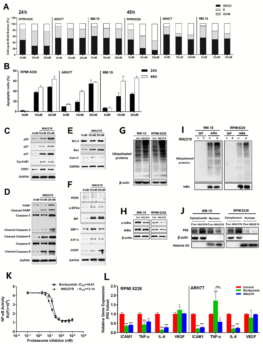 CAMKIIγ is a targetable driver of multiple myeloma through CaMKIIγ