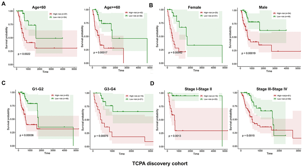 Kaplan-Meier curves of OS differences stratified by age, gender, tumor grade or TNM stage between low and high-risk group in the TCPA discovery cohort. The patients with low-risk scores have significantly better OS than patients with high-risk scores in different subgroups stratified by age (A), gender (B), tumor grade (C) and TNM stage (D).