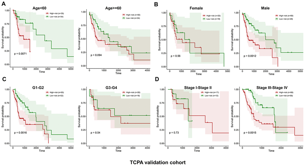 Stratified analysis of the five-proteins signature for HNSCC patients in the TCPA validation cohort with age, gender, tumor grade or TNM stage. The patients with high-risk scores have significantly worse OS than those with low-risk scores in the subgroups of age=60, female, grade 3-4 and stage I-II (A–D).