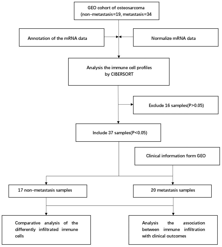 Flowchart detailing the study design and samples at each stage of analysis.