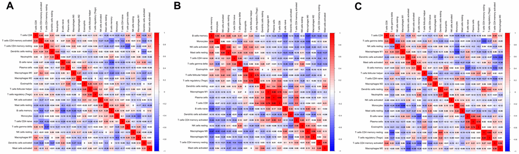 Correlation matrix of all 22 immune cell densities in different groups. The results are shown for all tissues (A), non-metastatic tissues (B) and metastatic tissues (C). Red indicates a positive correlation, while blue indicates a negative correlation; the darker the color, the stronger the correlation. The results were generated using the R software package corrplot.
