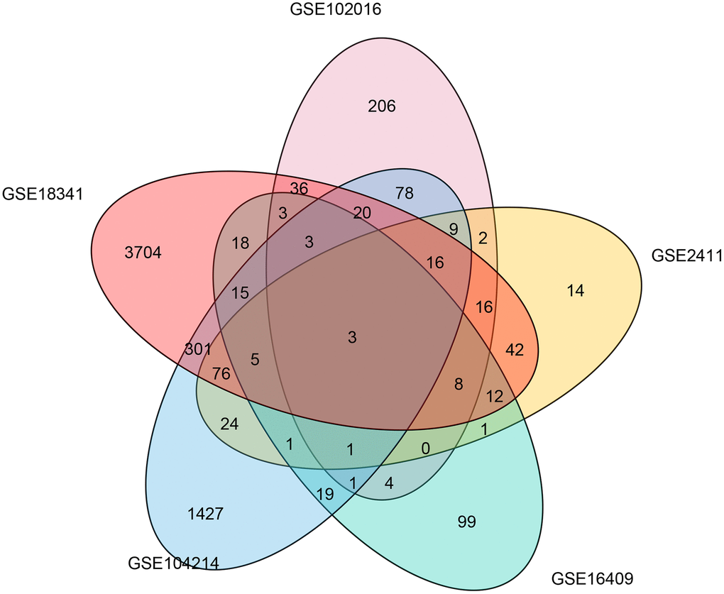 Common differentially expressed genes associated with LPS induction in five microarray studies. A Venn diagram was constructed to show the overlapping differentially expressed genes associated with LPS induction identified in five microarray studies.