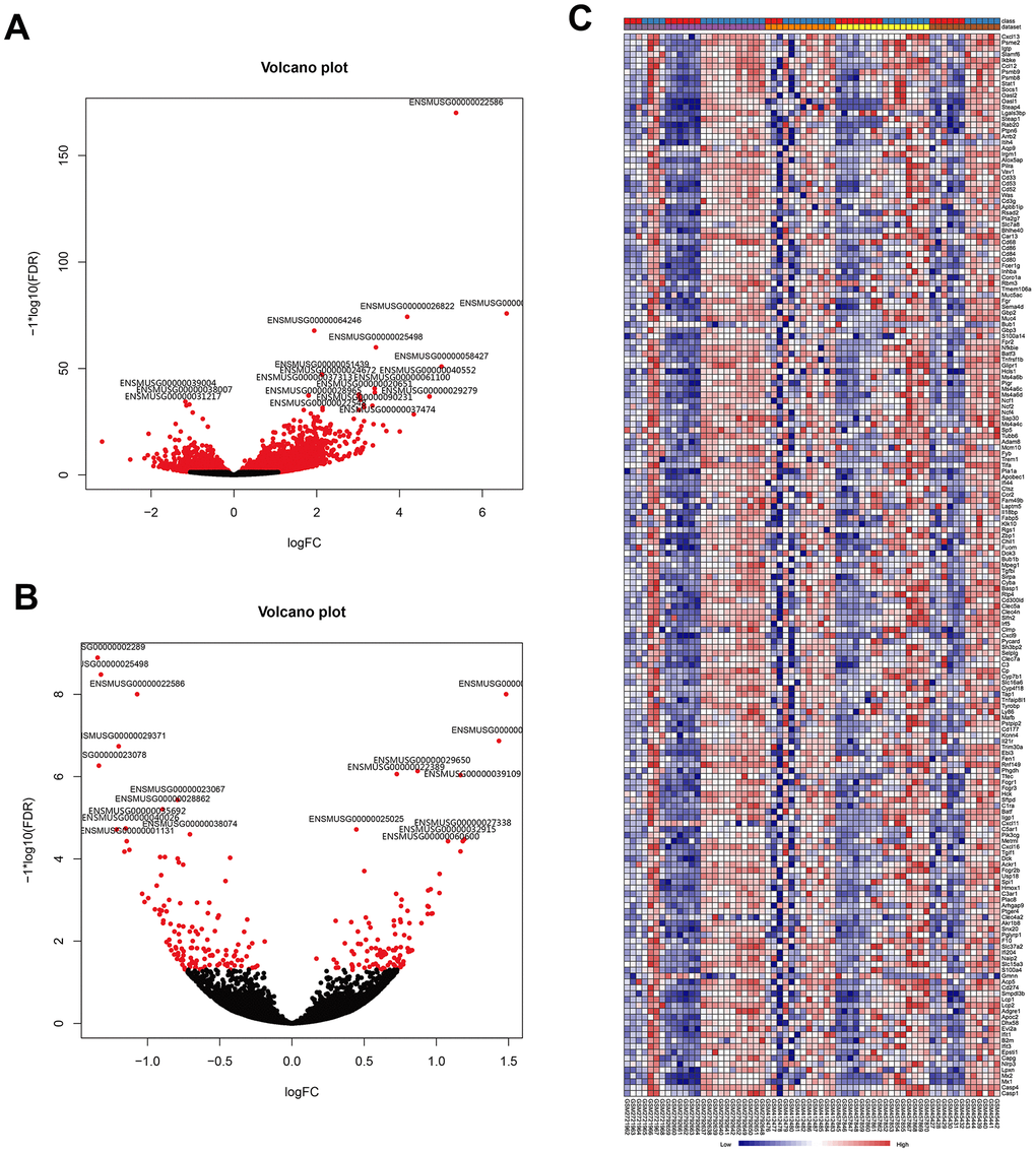 Visualization of DEGs identified by RNA sequencing and the overlap of the results with the meta-analysis of the five microarrays. (A) Volcano plot representation of the1187 DEGs associated with LPS-induced ALI onset identify by RNA sequencing (control group vs. LPS group). (B) Volcano plot representation of the 21 DEGs associated with the AST therapeutic effect of AST identified by RNA sequencing (LPS group vs. AST group). (C) Heat map of the 181 overlapping upregulated genes identified by both meta-analysis of published microarrays and our RNA sequencing experiments (control group vs. LPS group).