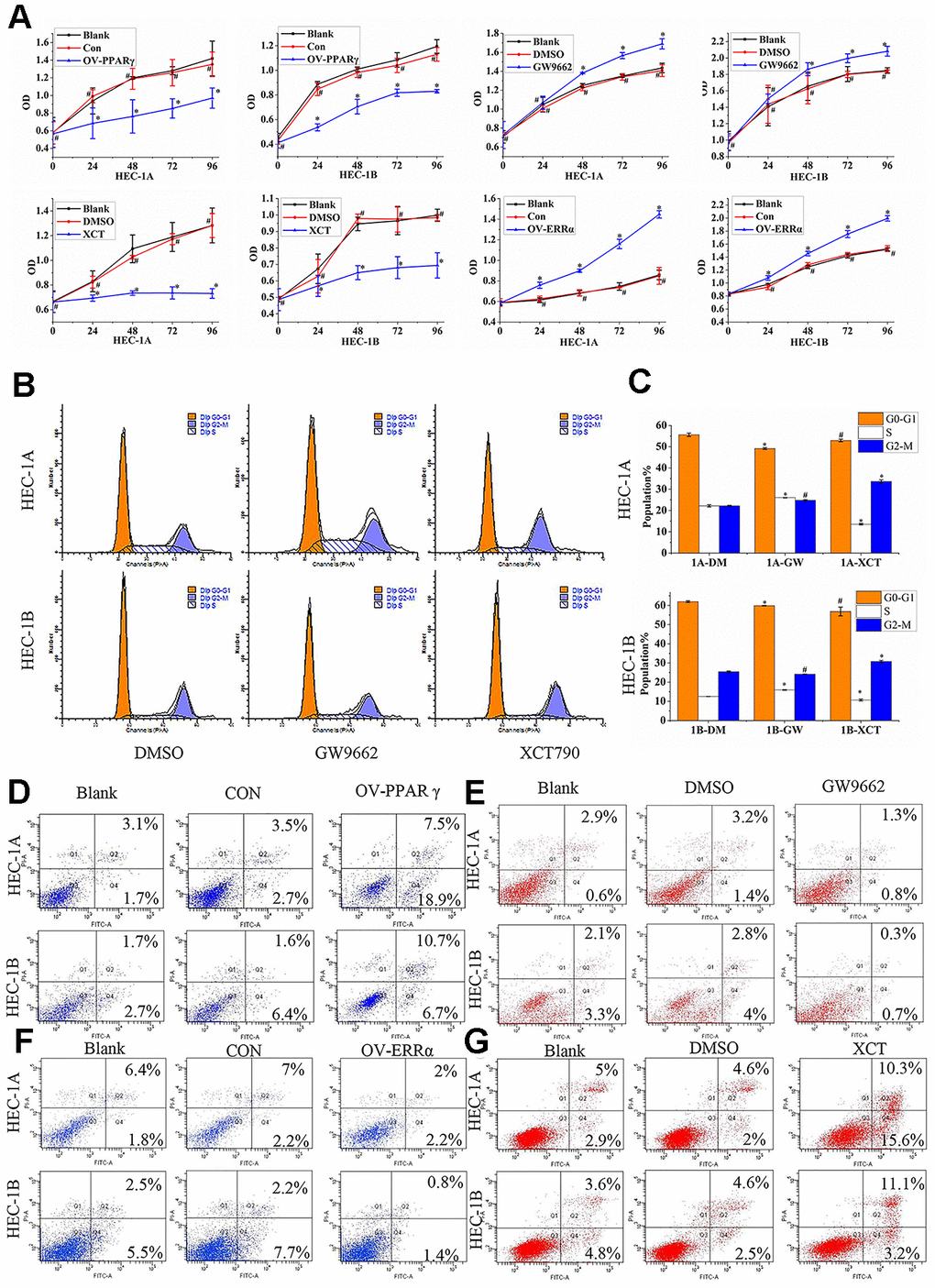 PPARγ and ERRα compete to control cell proliferation and promote apoptosis in EC cells. (A) The effect of OV-PPARγ, OV-ERRα, GW9662 or XCT790 on proliferation. The OD values of HCE-1A and HEC-1B cells were detected at 0, 24, 48, 72, and 96 h after transfection with lentivirus or treatment with ERRα and PPARγ antagonists. (B, C) The effect of GW9662 or XCT790 on the cell cycle. HEC-1A and HEC-1B cells were treated with DMSO, GW9662 (5 μM) or XCT790 (10 μM) for 72 h. (D, E) The effect of OV-PPARγ or GW9662 on apoptosis.(F, G) The effect of OV-ERRα or XCT790 on apoptosis. OV-PPARγ: overexpression of PPARγ; OV-ERRα: overexpression of ERRα. EC, endometrial cancer. *, P0.05.