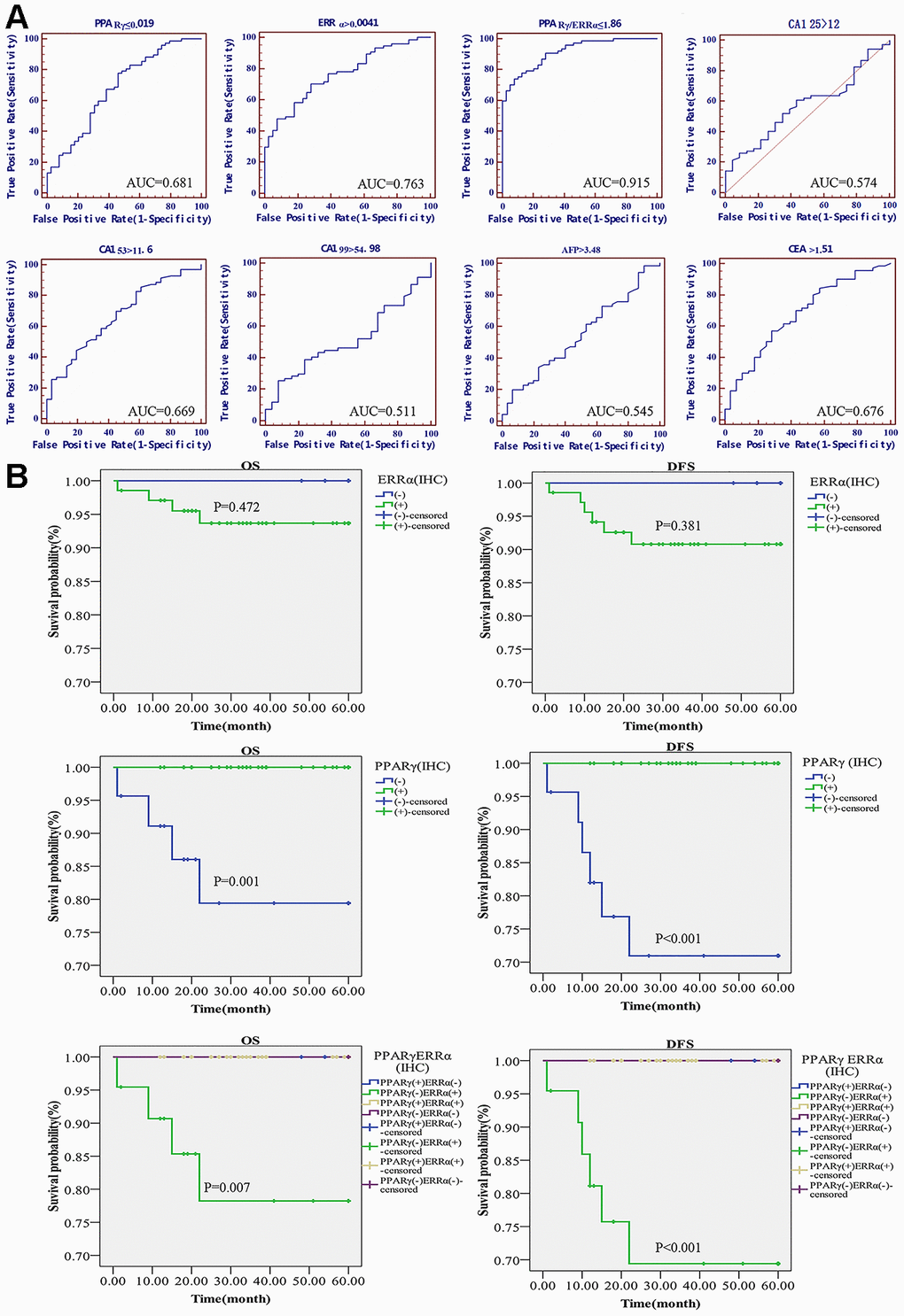 Diagnostic and prognostic value of the PPARγ/ERRα ratio for EC. (A) ROC curves of the mRNA expression of PPARγ, the mRNA expression of ERRα, the PPARγ/ERRα ratio, CA125, CA199, CA153, CEA, and AFP. (B) DFS and OS in EC patients with different expression patterns of PPARγ/ERRα. Patients with PPARγ(+)/ERRα(-) had longer DFS and OS. The mRNA expression of PPARγ and ERRα was quantified using the 2-ΔCT method. PPARγ/ERRα was quantified as the ratio of the mRNA expression of PPARγ to the mRNA expression of ERRα. ROC, receiver operating characteristic; DFS, disease-free survival. OS, overall survival.