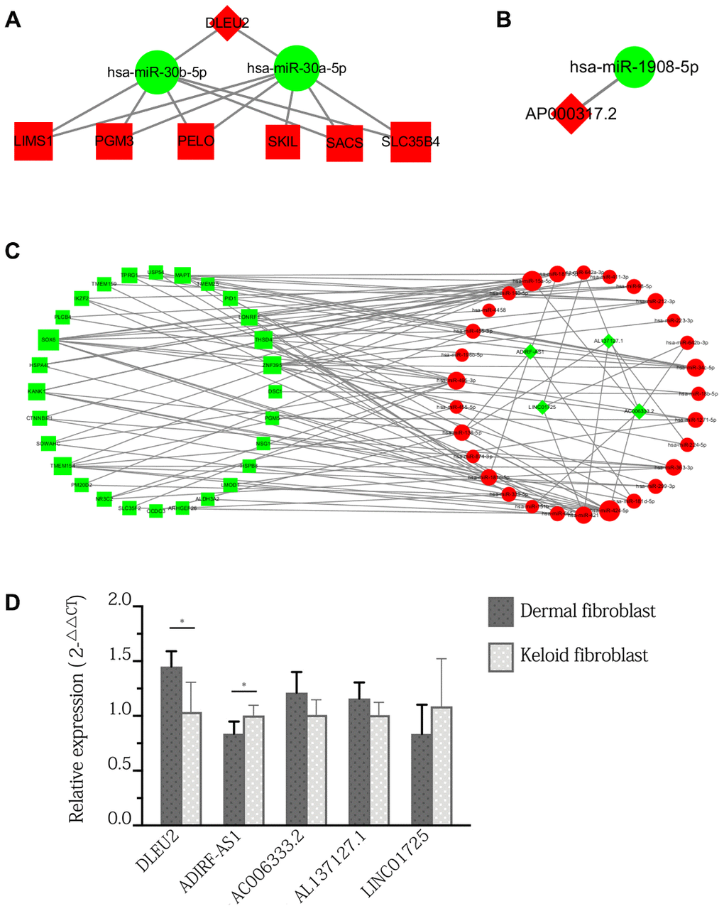 ceRNA sub-network of specific lncRNAs expressed only in keloid-prone individuals and qPCR verification of DElncRNAs in keloid and normal fibroblasts. (A) Sub-network of DLEU2. (B) Sub-network of AP000317.2. (C) Sub-network of downregulated lncRNAs. Green indicates downregulated molecules, red indicates upregulated molecules, diamonds indicate lncRNAs, circles indicate miRNAs, and squares indicate mRNAs. (D) qPCR verification of DElncRNAs in keloid and normal fibroblasts. *p