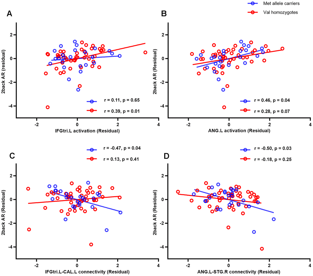 Correlations between female participants’ performance (accuracy rate) on the 2-back WM task and activations in two brain regions (the triangular part of left inferior frontal gyrus (A) and left angular gyrus (B)) and these regions’ background functional connectivity with left calcarine (C) and right superior temporal gyrus (D), respectively. AR, accurate rate; IFGtri.L, triangular part of left inferior frontal gyrus; ANG.L, left angular gyrus; CAL.L, left calcarine; STG.R, right superior temporal gyrus.