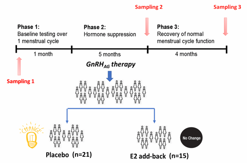 Design of the gonadal hormone suppression intervention study.