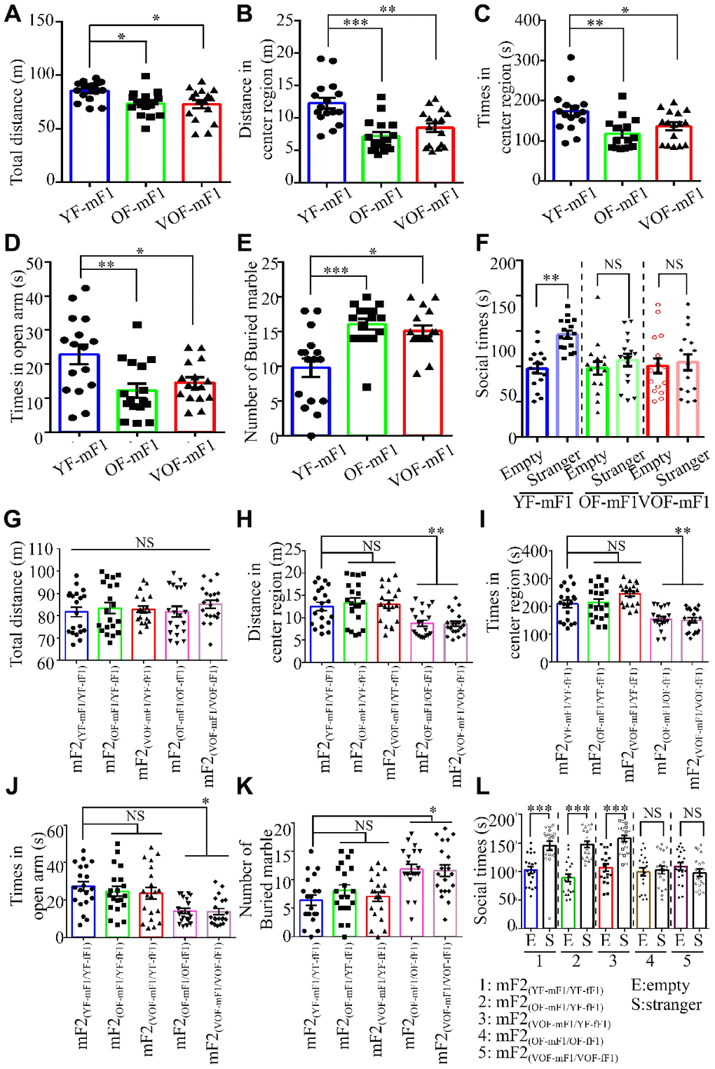 Autism spectrum disorder (ASD)-like behaviors in F1 and F2 male offspring from old and very old father mice. (A, G). The total distance in the open field (OF) in F1 male offspring, n=16 mice/group (A) and F2 male offspring, n=20 mice/group (G). (B, H). The distance in the central area of the OF in F1 male offspring, n=16 mice/group (B) and F2 male offspring, n=20 mice/group (H). (C, I). The time spent in the central area of the OF in F1 male offspring, n=16 mice/group (C) and F2 male offspring (I). (D, J) The time spent in the open area of the elevated plus maze in F1 male offspring, n=16 mice/group (D) and F2 male offspring, n=20 mice/group (J). (E, K) The number of buried marbles in F1 male offspring, n=16 mice/group (E) and F2 male offspring, n=20 mice/group (K). (F, L) The social time for three chamber tests in F1 male offspring, n=16 mice/group (F) and F2 male offspring, n=20 mice/group (L). Data are presented as the mean ± s.e.m. NS, P≥0.05; *, P