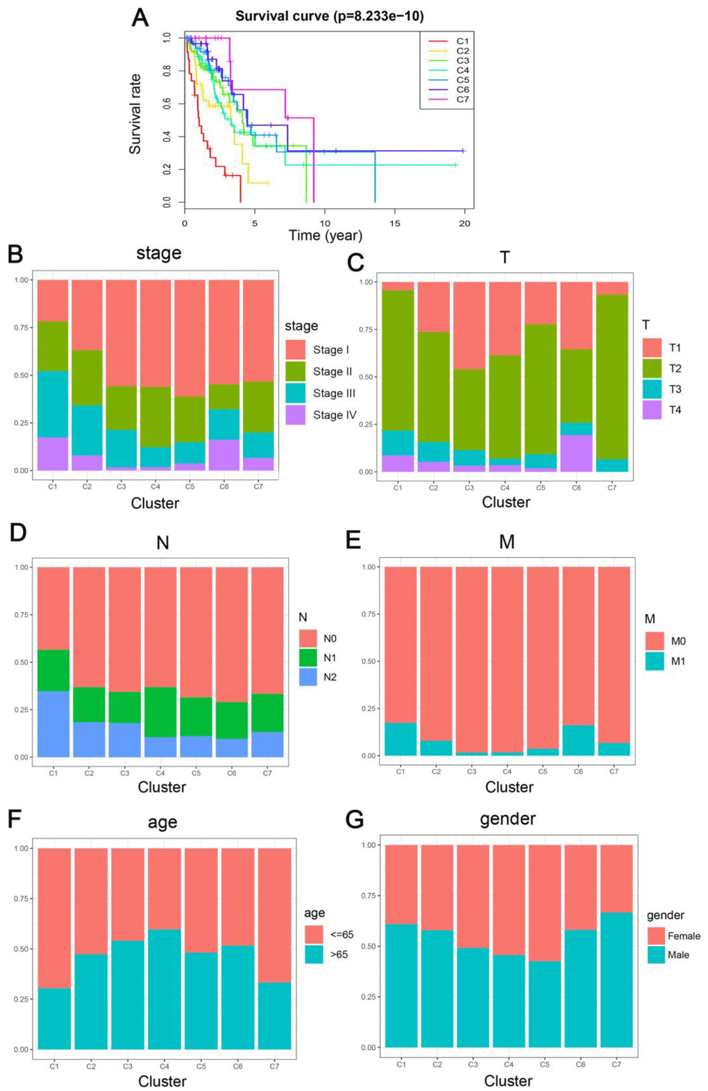 Comparison of prognosis, TNM stage, age, and gender between the DNA methylation clusters. (A) Survival curves for each DNA methylation subtype in the training set. The horizontal axis represents survival time (years), and the vertical axis represents the probability of survival. The log-rank test was used to assess the statistical significance of differences between subtypes. Stage score (B), topography score (C), lymphocyte infiltration (D), metastasis (E), age (F), and gender (G) distributions for each DNA methylation subtype in the training set. The horizontal axis represents the DNA methylation clusters.