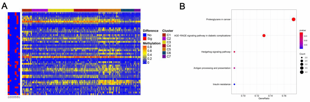 Specific methylation CpG sites for each DNA methylation cluster. (A) Specific CpG sites are shown for each DNA methylation prognosis subtype. Red bars represent specific CpG sites with significant differences. (B) KEGG pathway enrichment analysis of specific CpG sites.