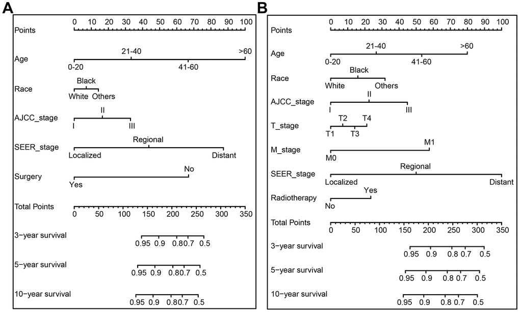 The nomogram predicting 3-, 5-, and 10-year overall survival (OS) and cancer-specific survival (CSS) rate of GCTC patients the training cohort. (A) OS nomogram; (B) CSS nomogram.